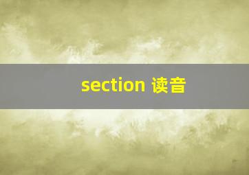 section 读音